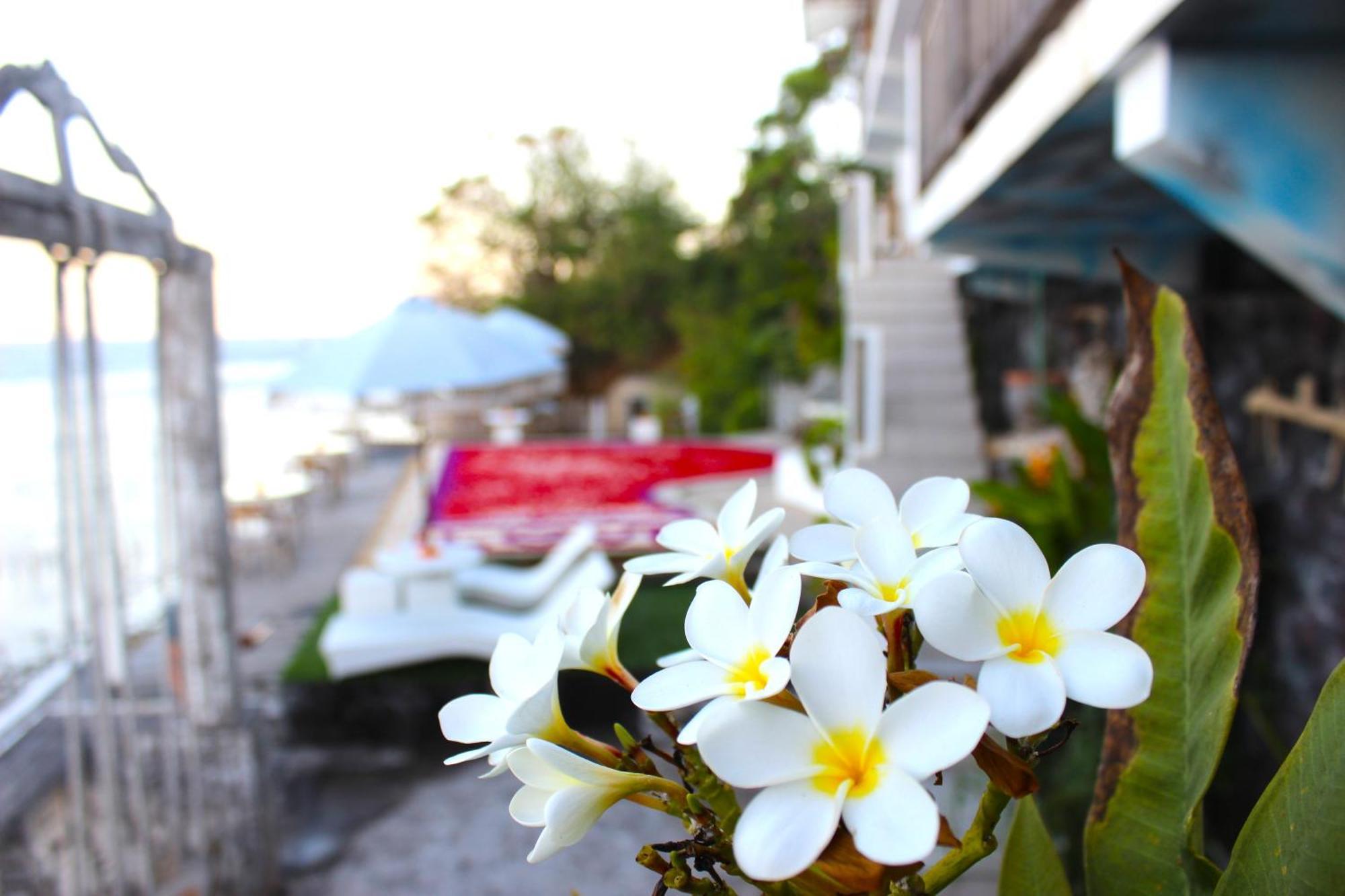 Suite Ocean Blue Batununggul Exterior photo